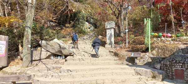 팔공산 갓바위로 오르는 계단에 한 시민이 올라가고 있다